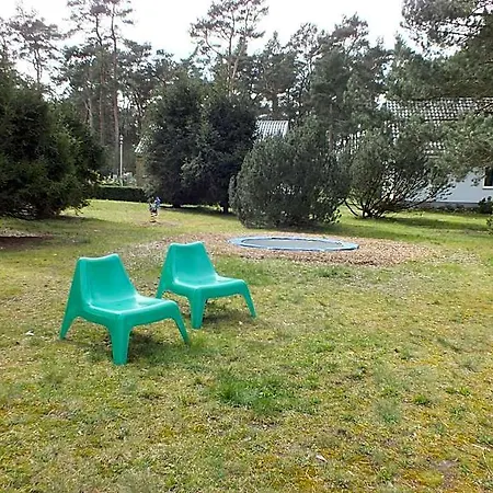 Buntspecht A Zingst